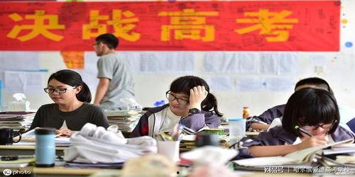 哈尔滨高考爆料事件最新,揭秘考场内幕，真相令人震惊！
